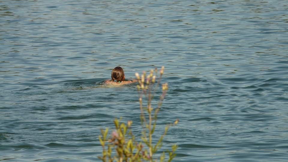 Water, lake, swim