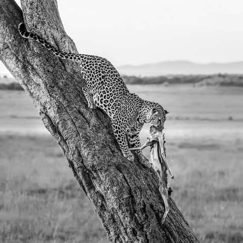 Lakshitha Karunarathna –