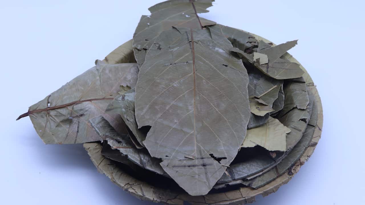 From leaves to plate: Tapari in the making process