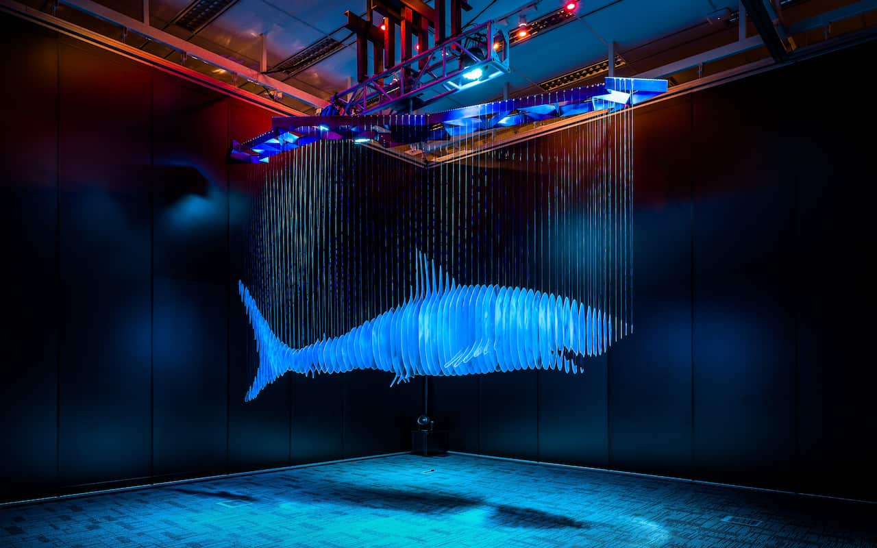 Don't Copy II by Li Jiwei