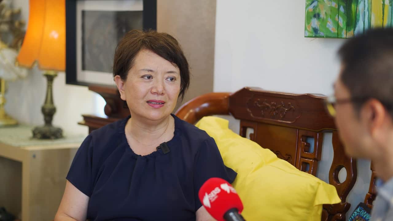 流浪猫领养者Ginger Li接受SBS普通话节目采访