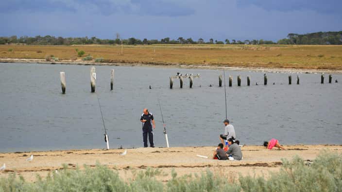 Câu cá ở Berrilee