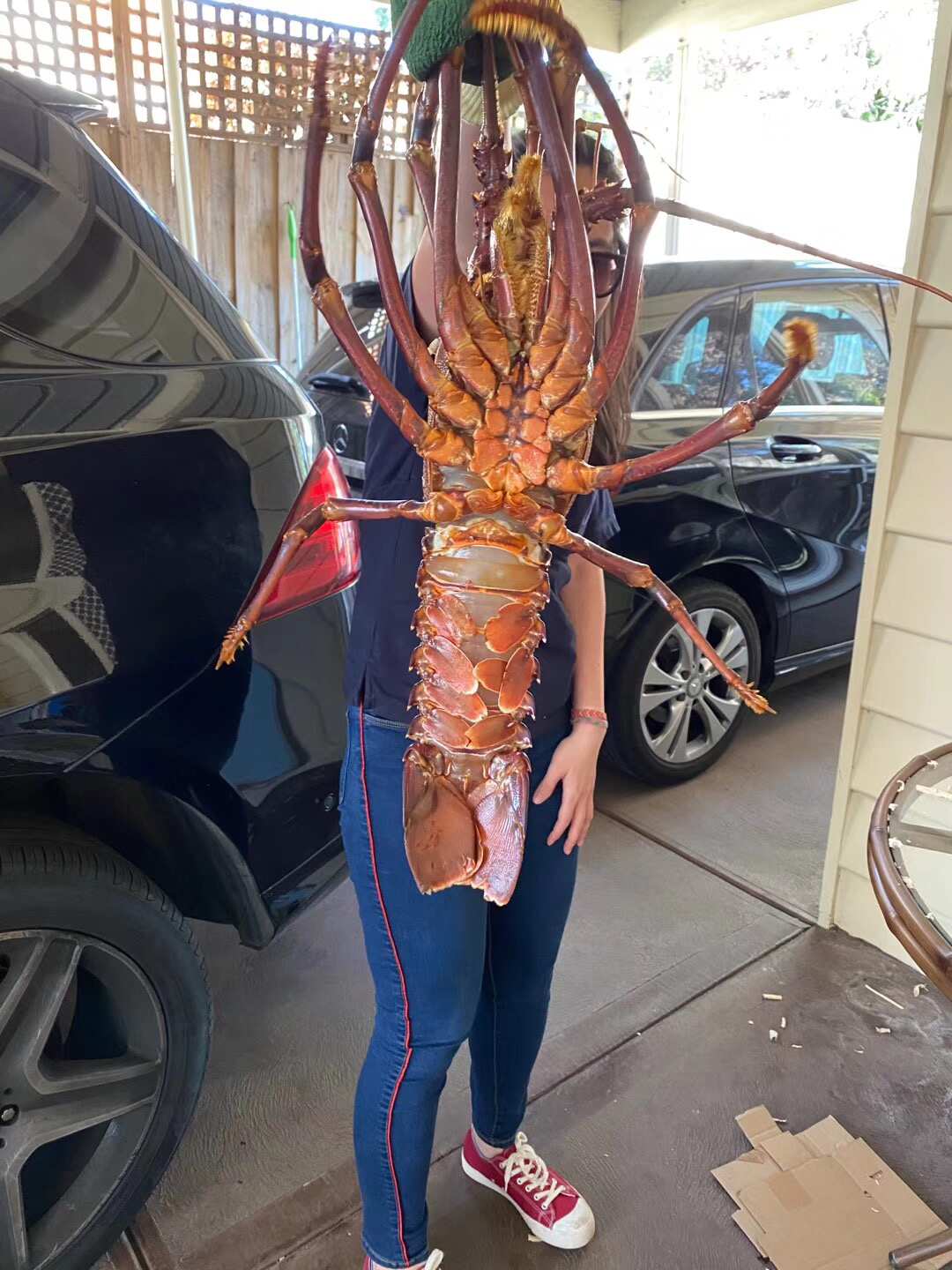 lobster group purchase