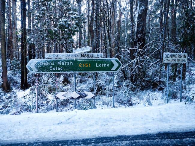 Lorne