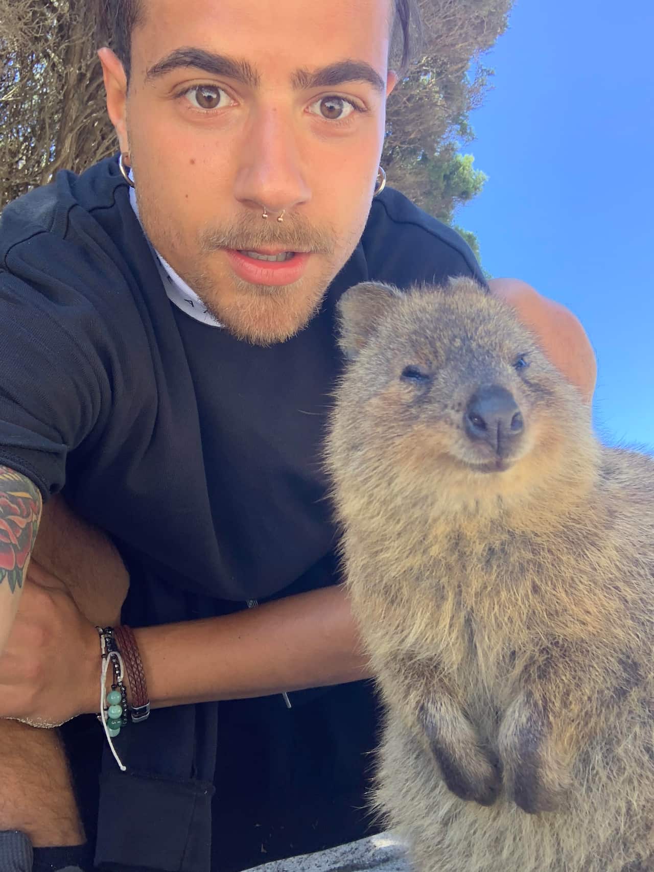 Luca con un quokka, il simpatico roditore tipico del WA