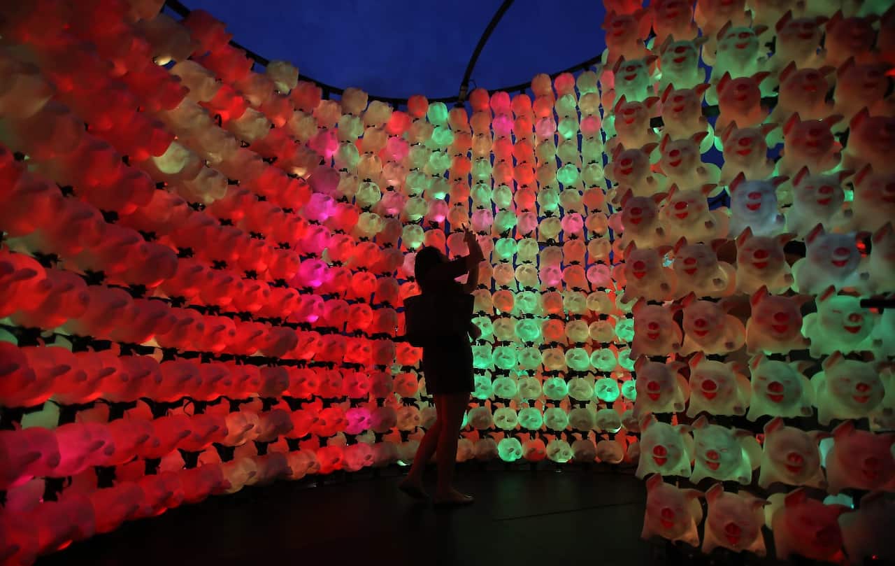 A woman takes a photo in a sculpture made of pigs as part of celebrations for Lunar New Year of the pig in Sydney, Monday, February 4, 2019.