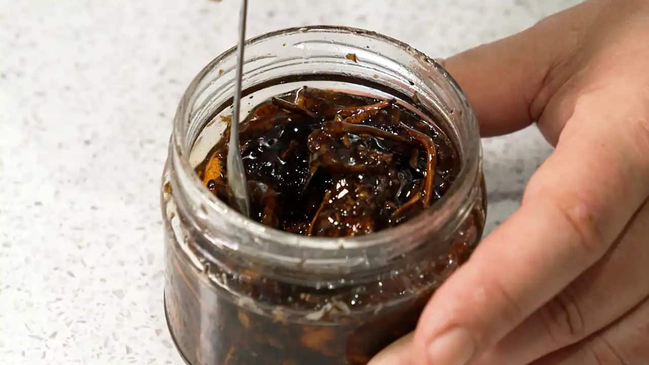 A jar of magic mushrooms preserved in honey.