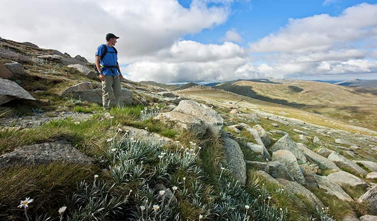 Main Range walk, Kosciuszko National Park