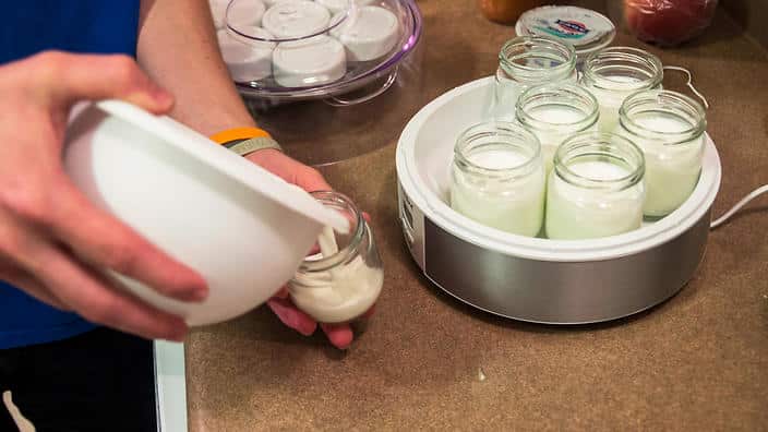 Yoghurt is made by introducing a starter culture of bacteria into milk.