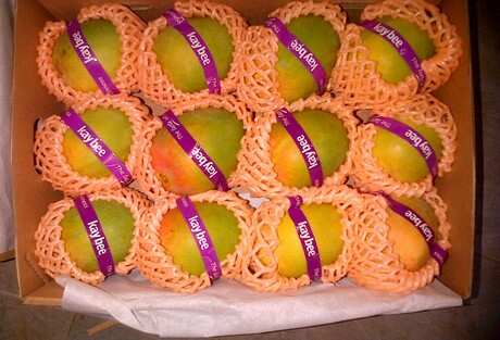 Indian Mango