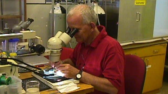 Marcello Costa con il suo microscopio 