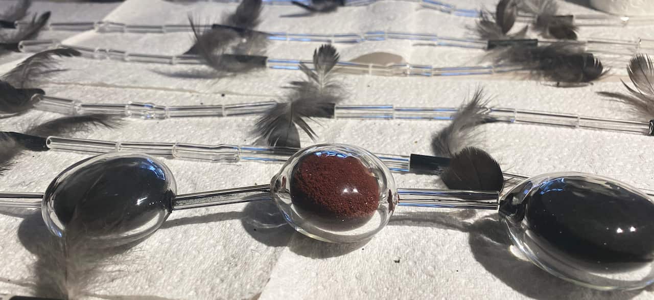 Maree Clarke, A Moment in Time - Connection to Country