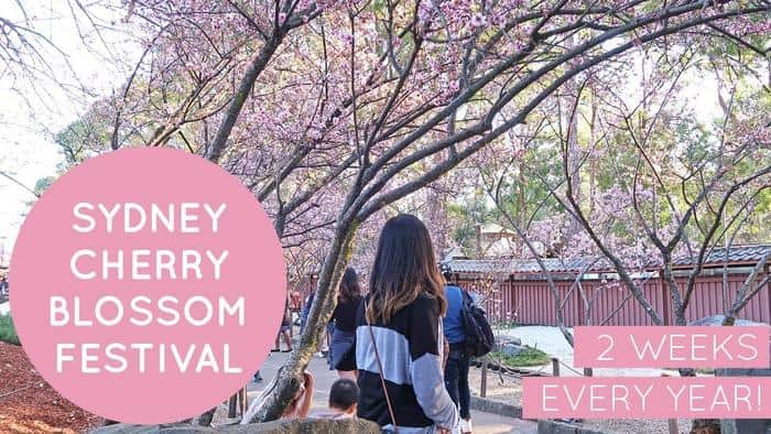 Cherry Blossom Festival Sydney