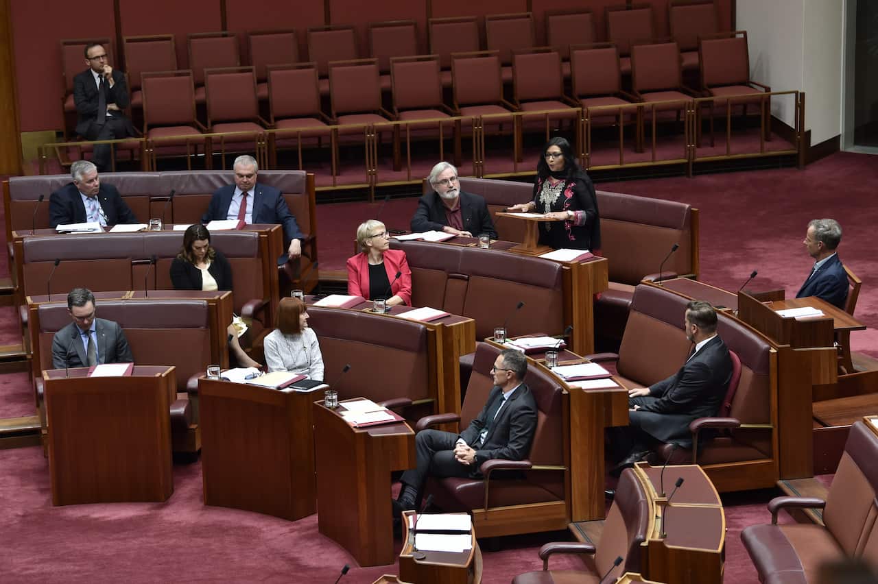 Senator Mehreen Faruqi, the first ever Punjabi migrant in Australia's federal parliament