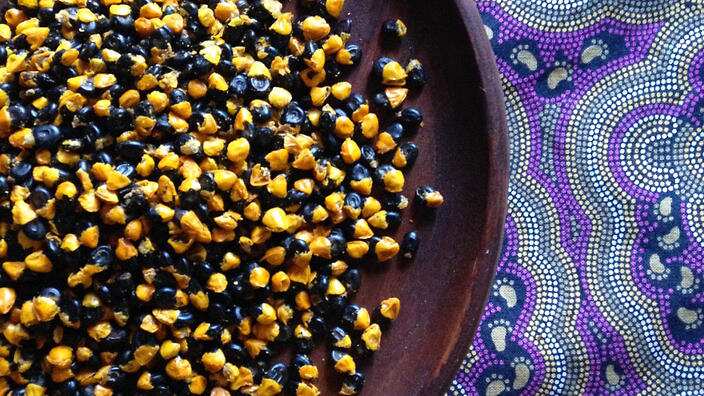 Wattleseed is used in cakes and biscuits, but will it get wider use?