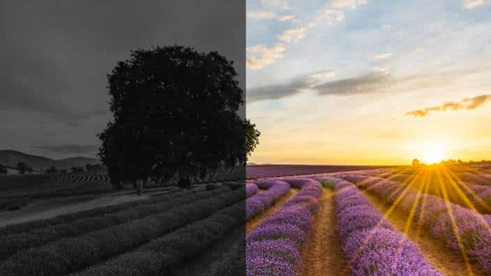 Do you see what I see #MentalHealthPromise