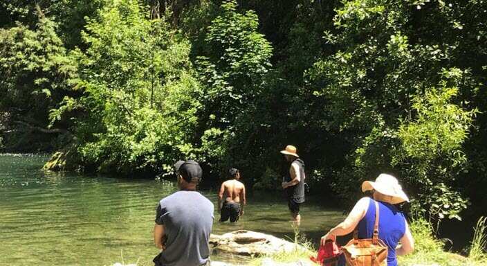 Maraetotara Falls in Hawke's Bay