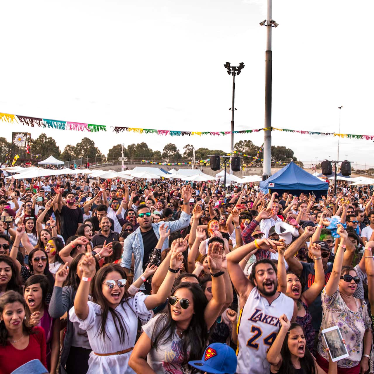 Crowd gathered during Melbourne's Momo festival in 2017