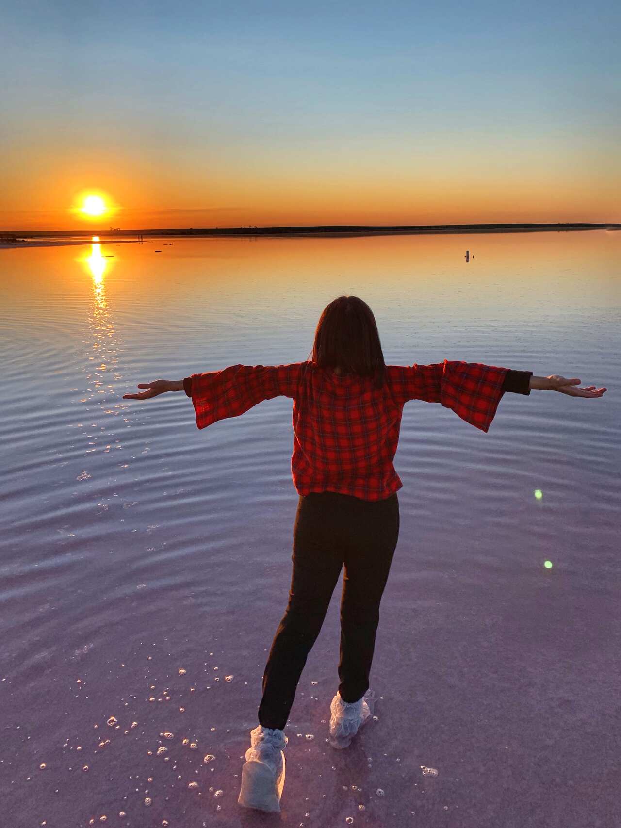 墨尔本米老鼠最怀念四处走走