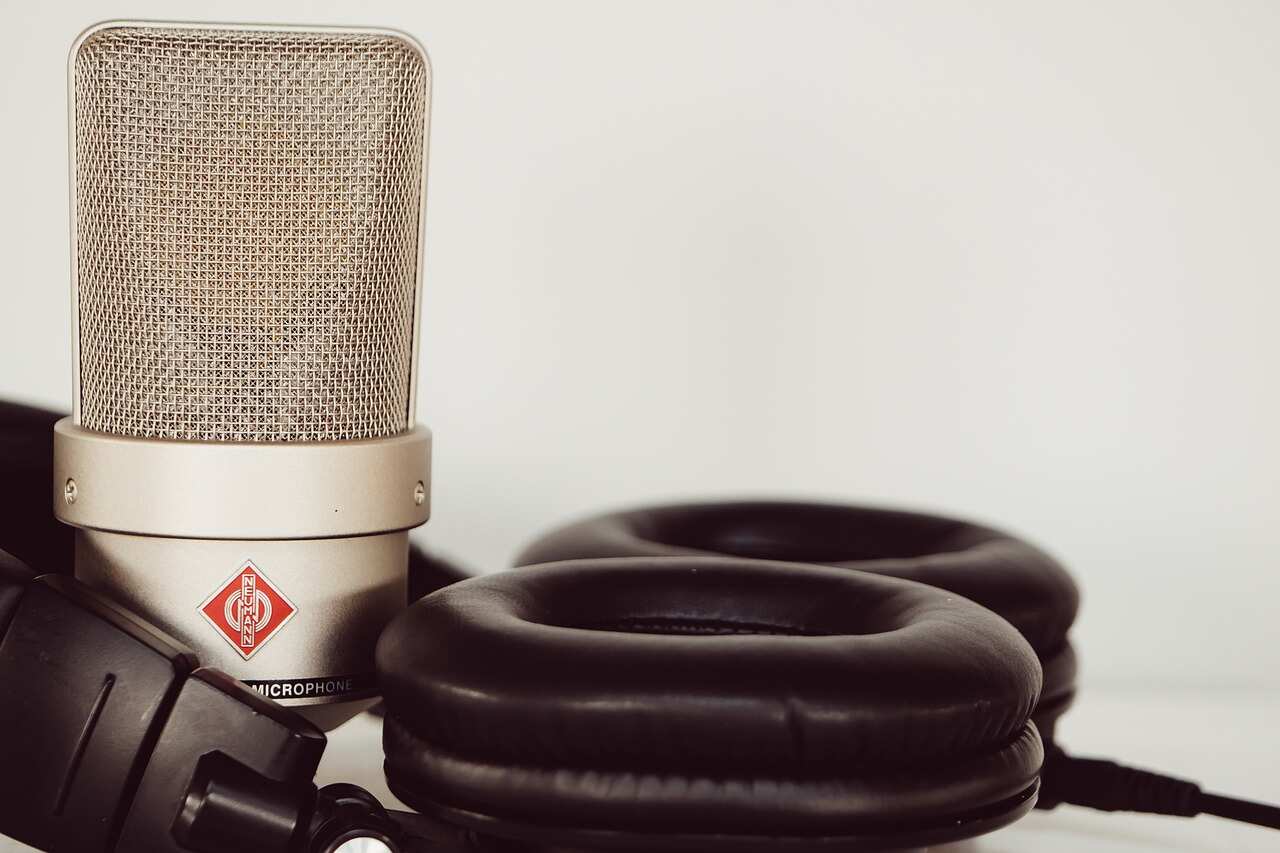 Microphone and headphones