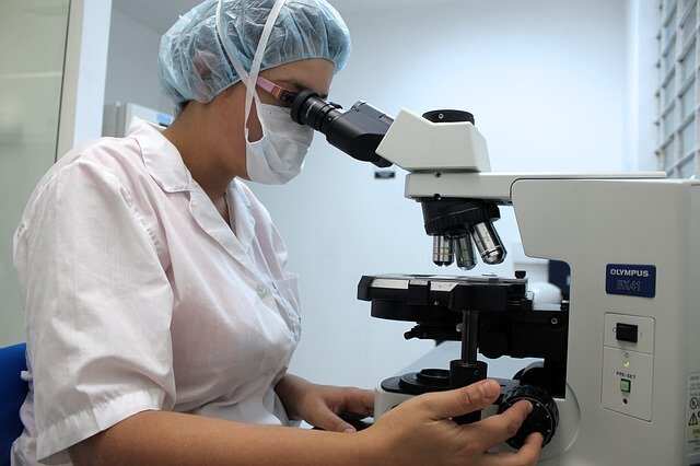lab