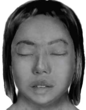 missing, nsw police, death, blowhole, stabbed