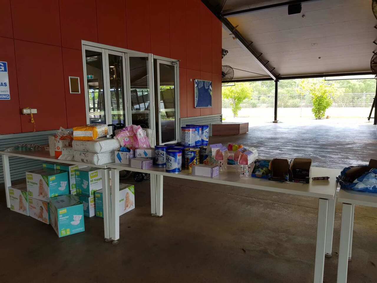 Nappies and formula powder for young kids.