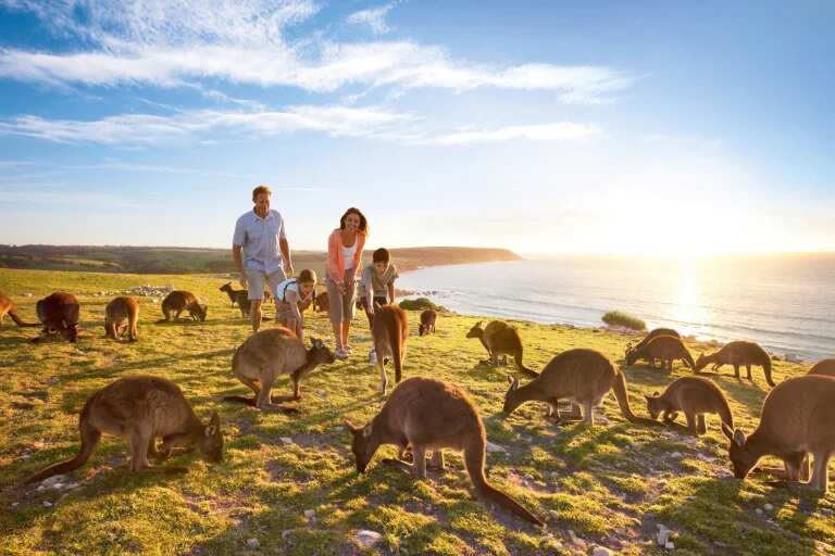 kangaroo island