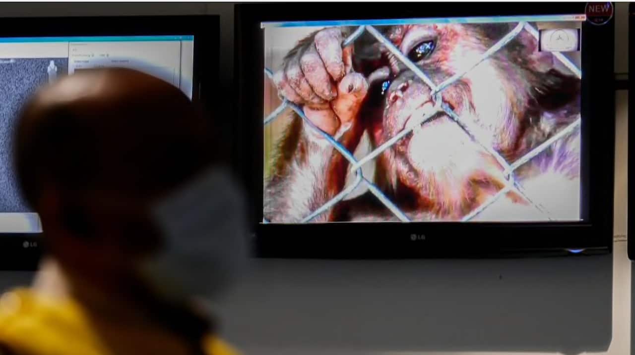 A health officer stands in front of a monkeypox virus information