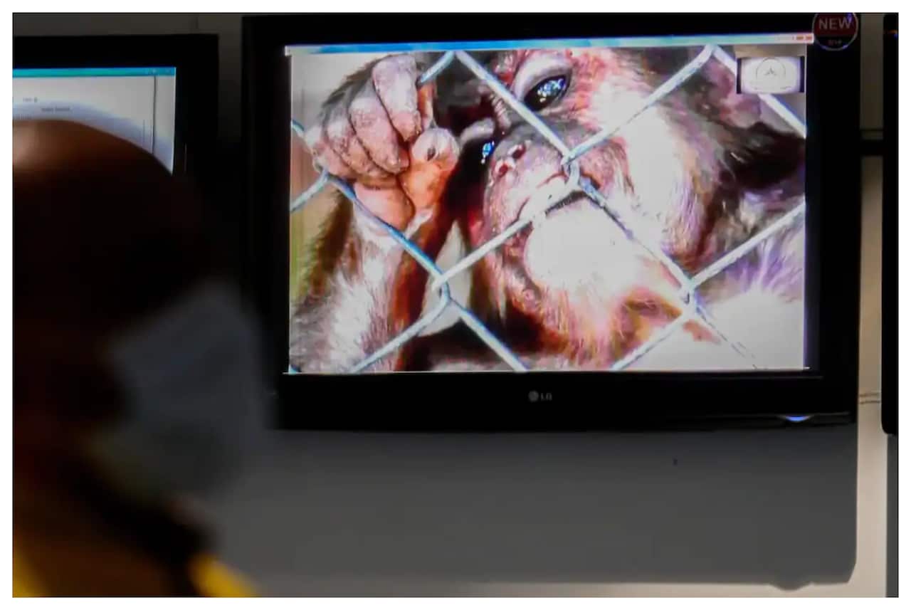 เจ้าหน้าที่สาธารณสุขยืนอยู่หน้าข้อมูลไวรัสโรคฝีฝีดาษลิงที่สนามบินนานาชาติซูการ์โนฮัตตา ใกล้กรุงจาการ์ตา ประเทศอินโดนีเซีย เมื่อวันที่ 15 พฤษภาคม 2019