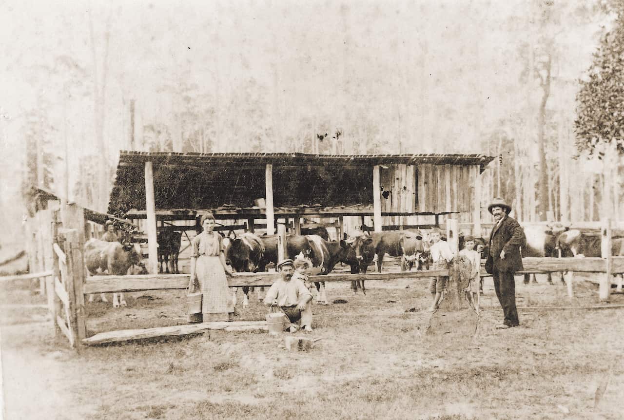 La fattoria dei Morandini a New Italy