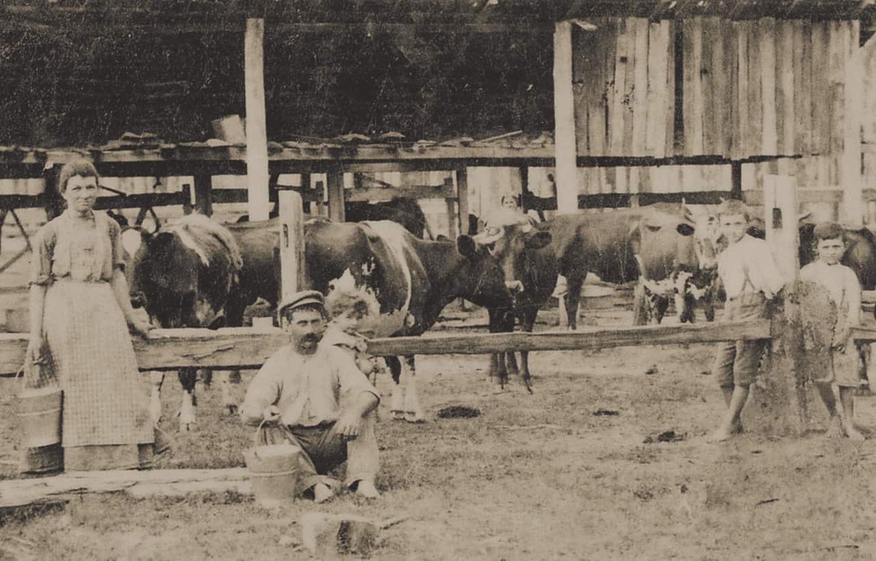 Un'immagine della fattoria della famiglia Morandini a New Italy