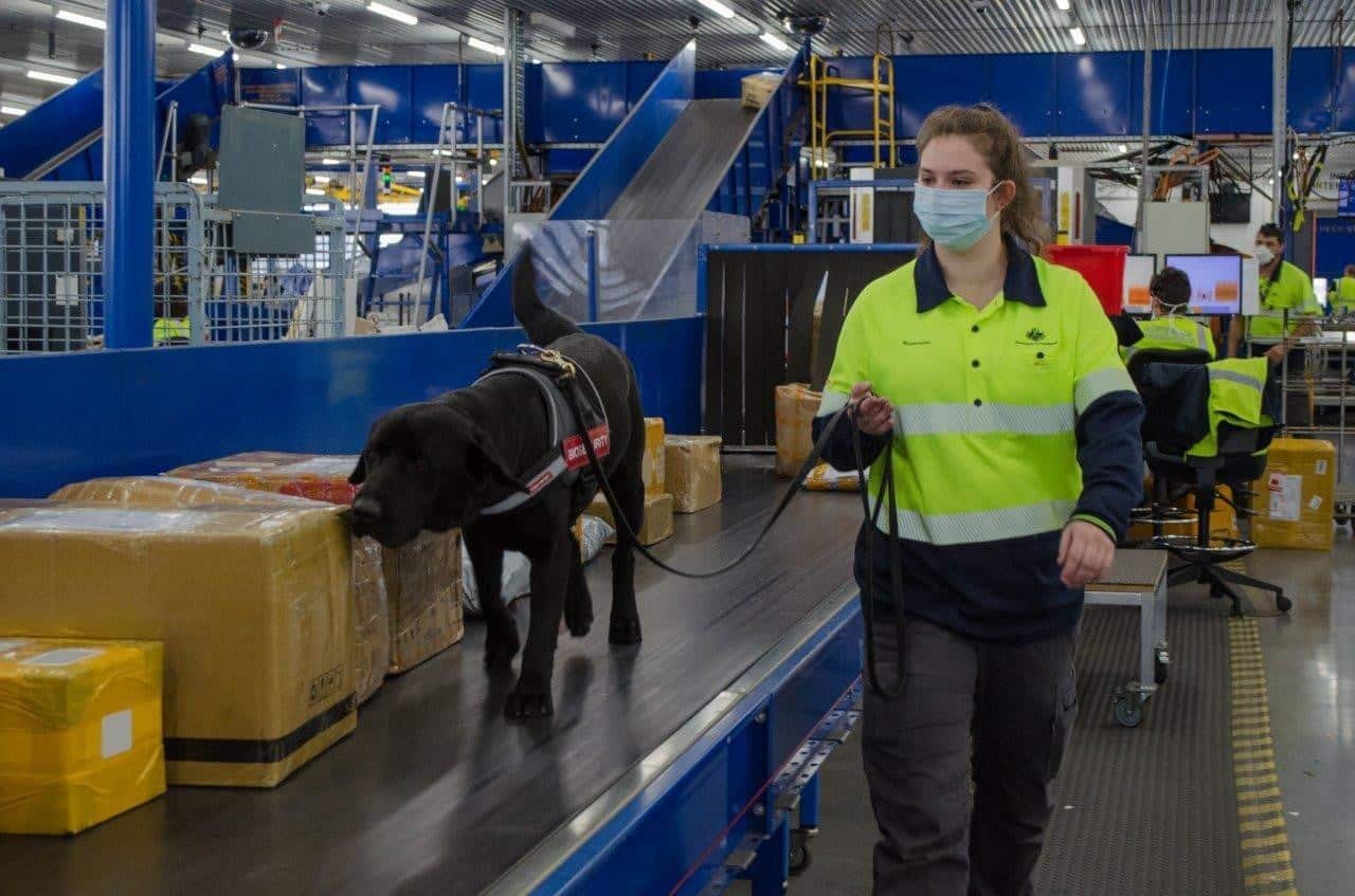 Higher penalties for breaching Australia's biosecurity rules.