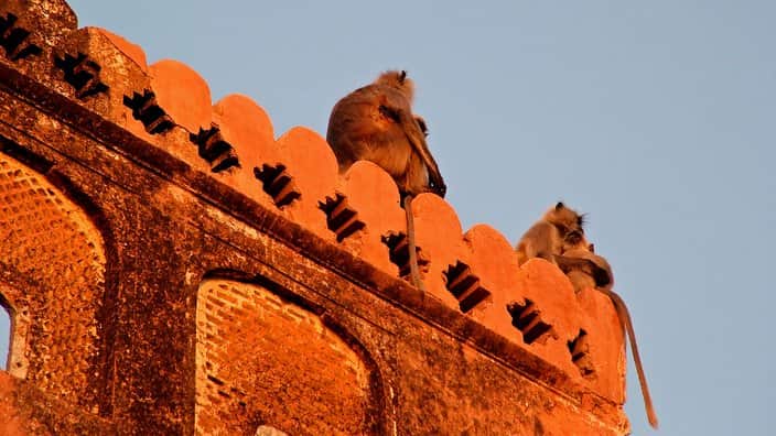 Nahargarh Fort