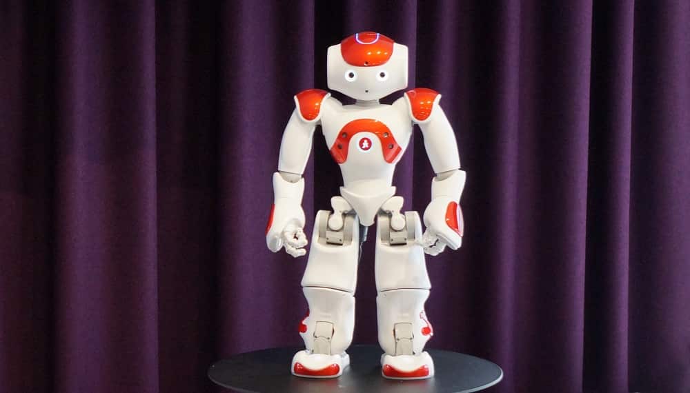 Social Robot 'Nao'