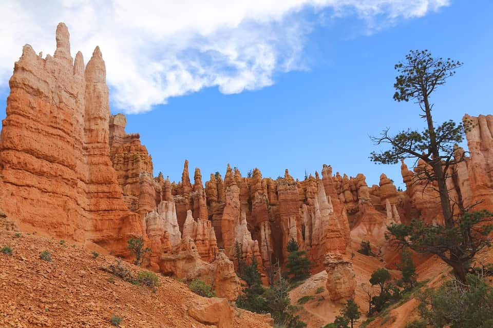 National Park Usa Bryce Canyon Landscape Utah