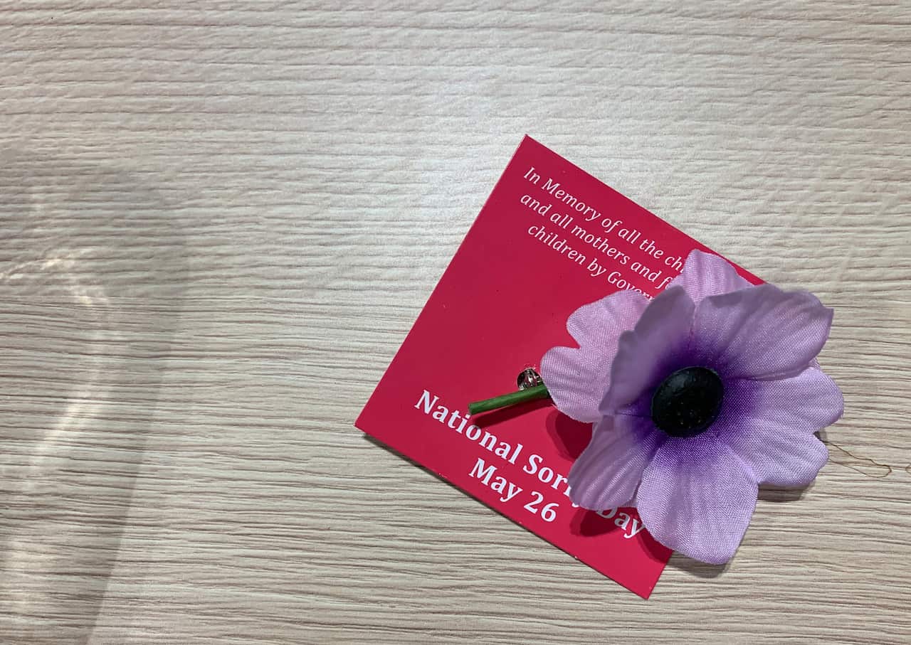 Hibiscus and National Sorry Day