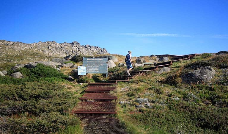 Walking track to Mt Kosciuzko