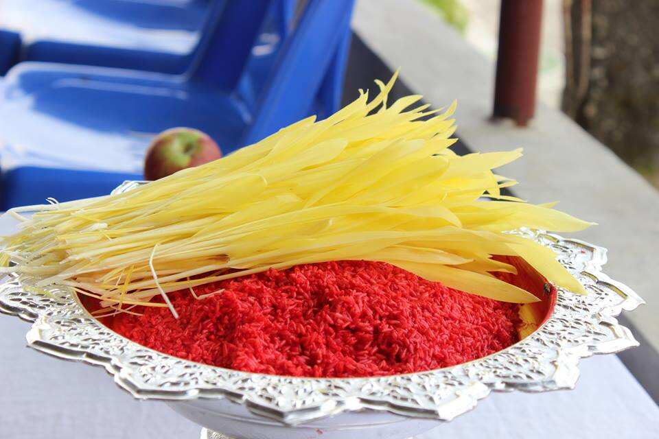 Dashain Tika and Jamara
