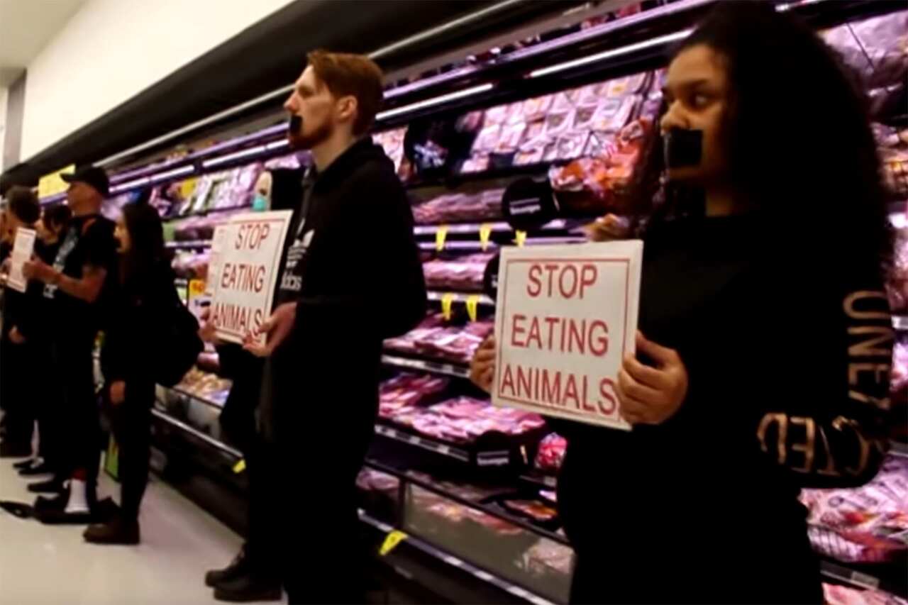 Vegan protesters in a NZ supermarket