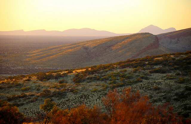 World's longest cat-proof fence 
