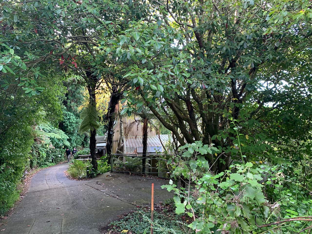 Quarantine life in Wellington