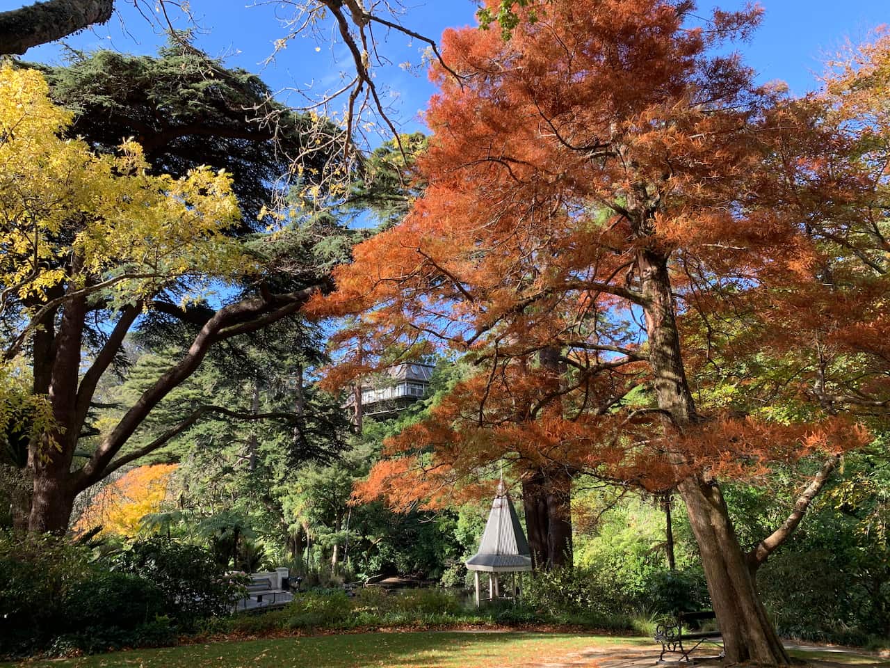 Quarantine life in Wellington