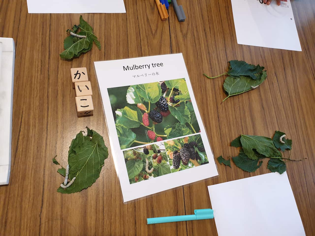 Japanese Family Daycare