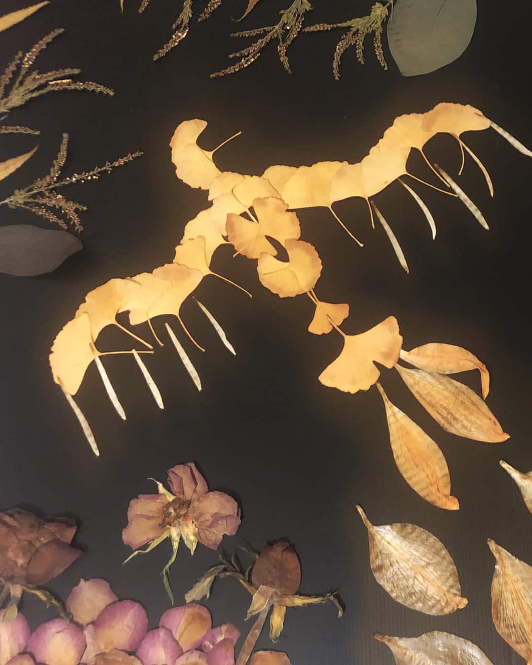 Nirvana Program Image