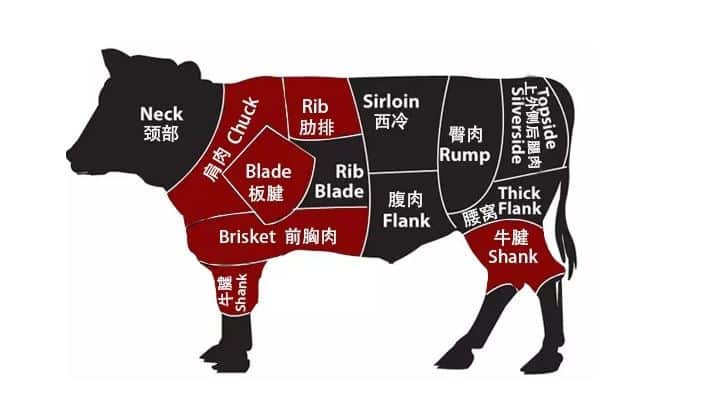 牛身上不同部位的中英文名对照