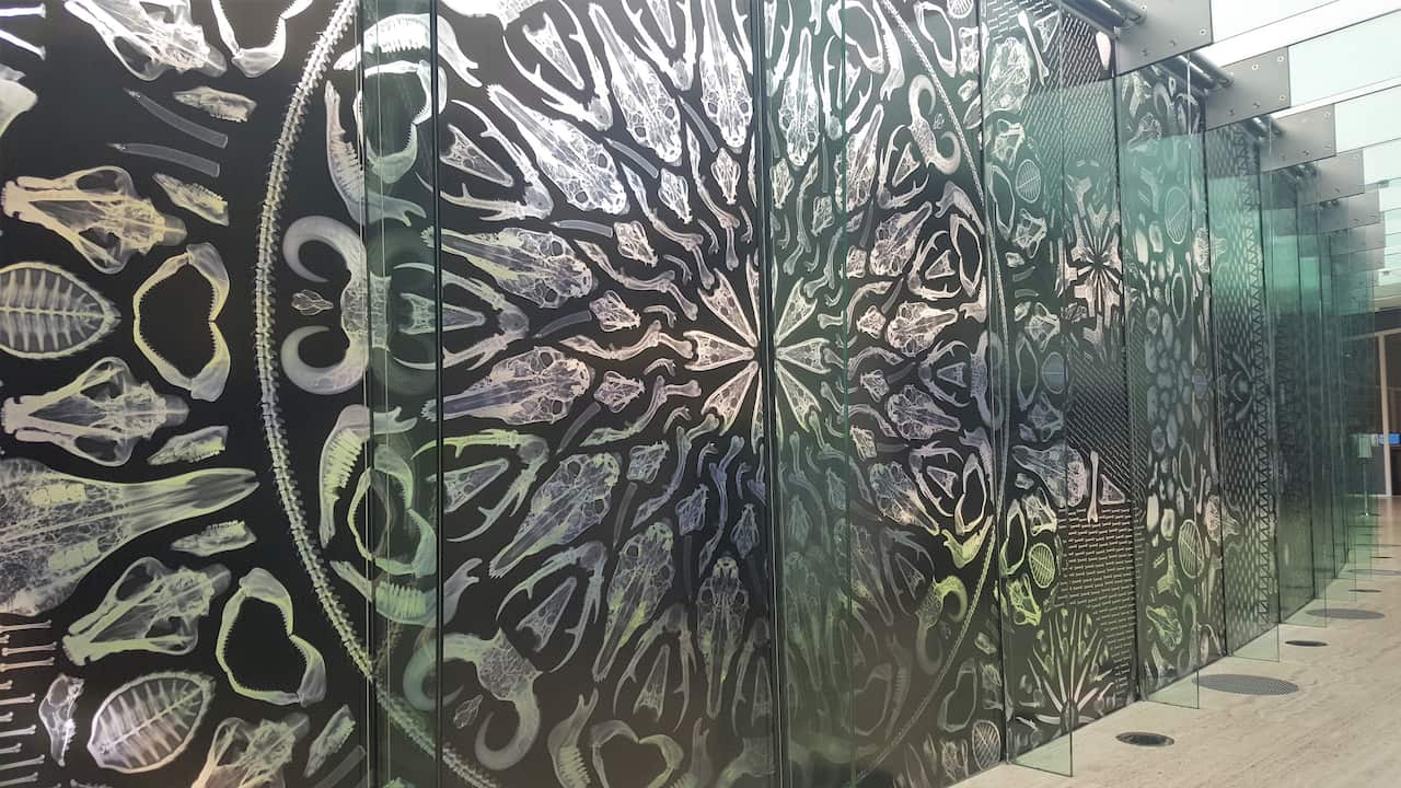 Nona Garcia artwork