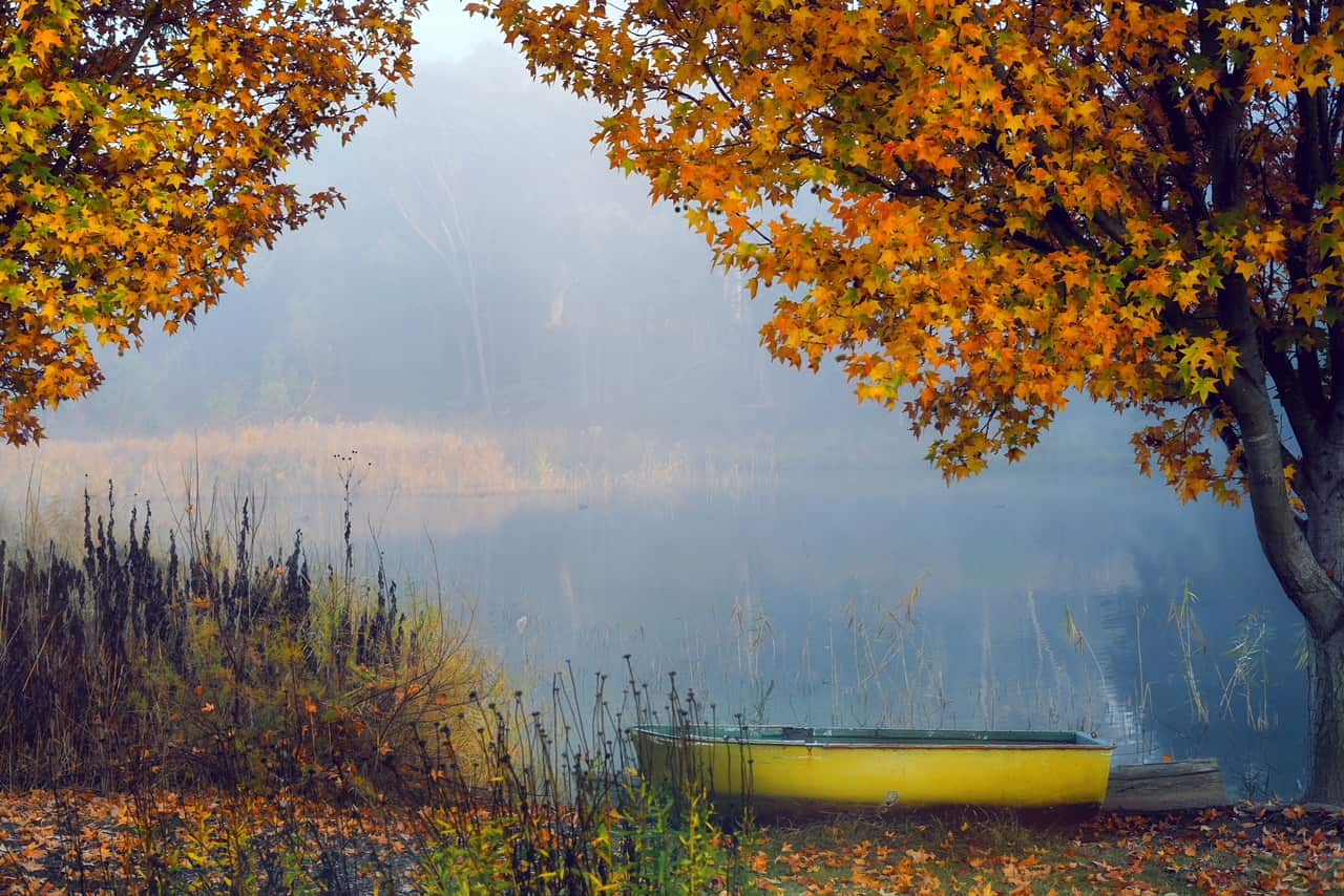 Boating site at the Redbrow Garden