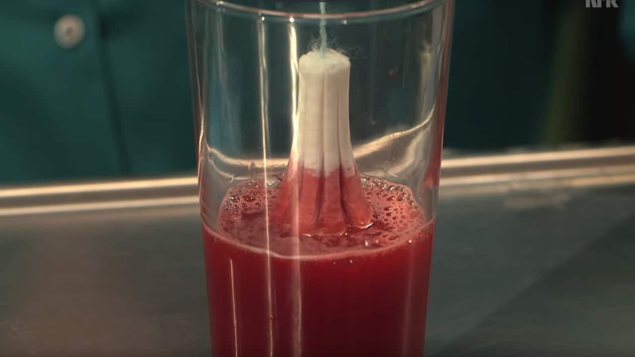 Sex ed on Norwegian children's television show 'Newton'