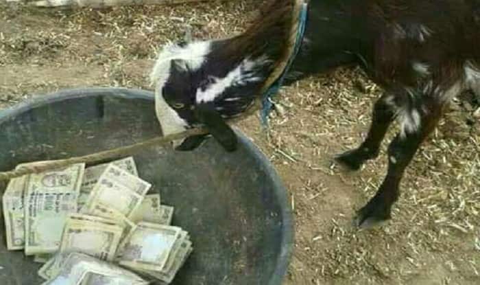 Social media reaction after Indian PM says the current Rs 500/1000 notes are just paper